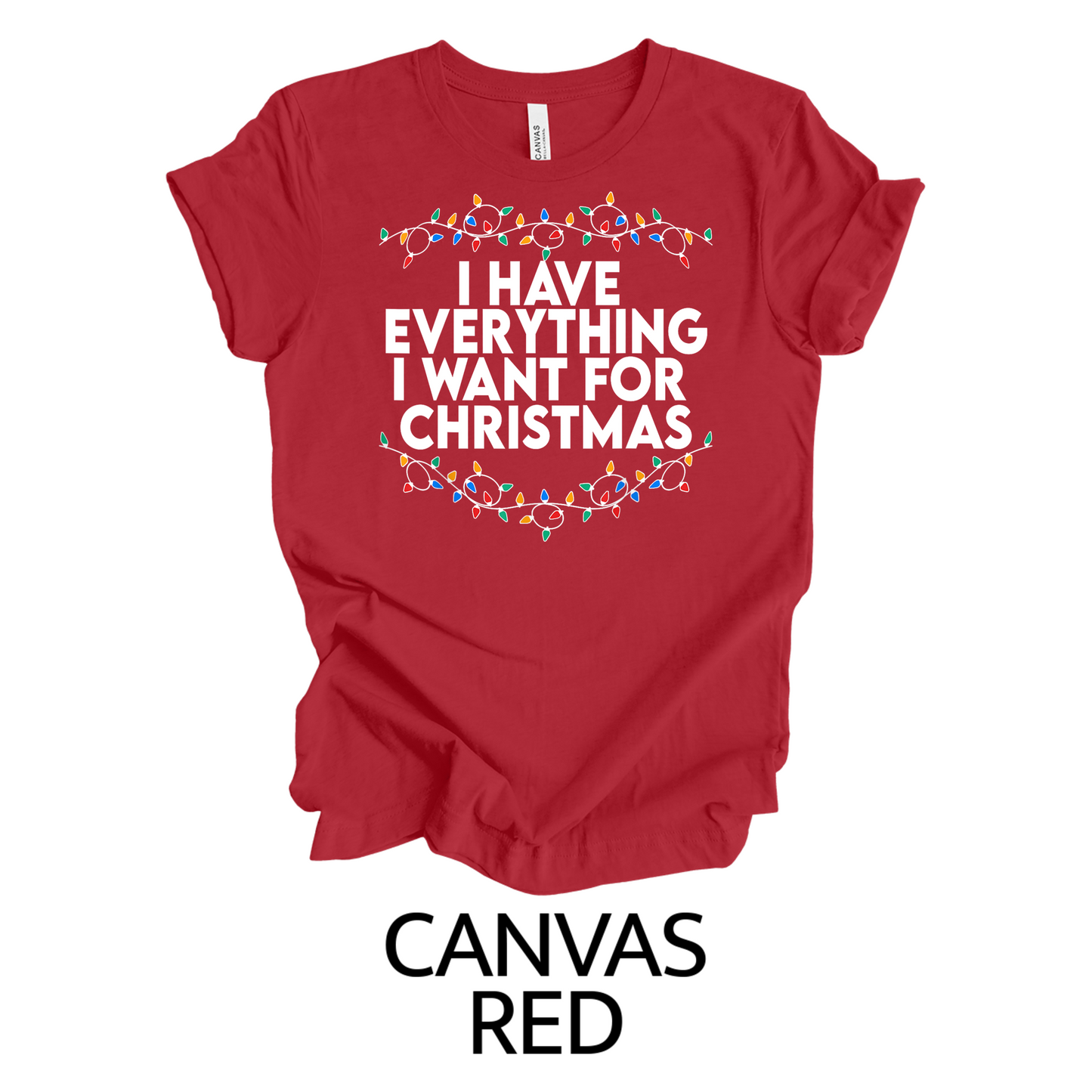 I Have Everything I Want for Christmas | Unisex T-Shirt
