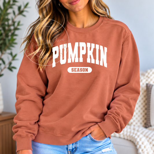 Pumpkin Season | Fall | Comfort Colors | Sweatshirt | Multiple Color Options